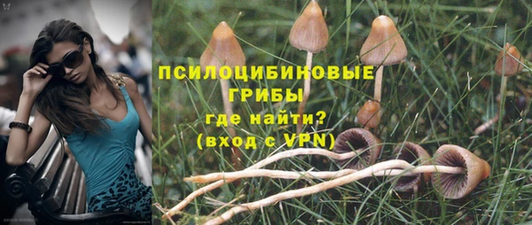твердый Алексеевка