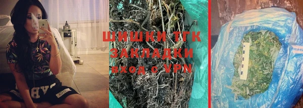 хмурый Долгопрудный