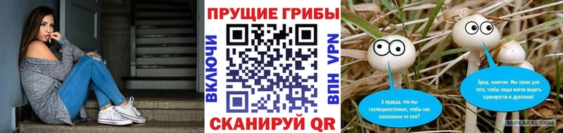 Галлюциногенные грибы Cubensis  купить наркоту  Амурск 