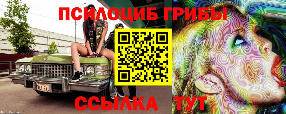 Амурск  Псилоцибиновые грибы GOLDEN TEACHER  дарнет шоп  Галлюциногенные грибы Cubensis  Вход с VPN 